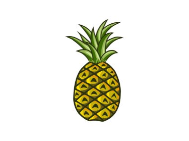 taze ananas meyvesi vektörü izole edildi