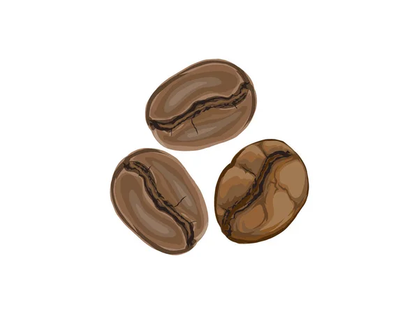 Tre Kaffebönor Ikon Kaffebönor Vektor Isolerad Vit — Stock vektor
