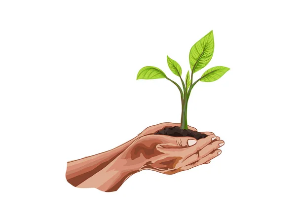 Hands Holding Soil Growing Plants Two Hands Hold Young Plant — Stock Vector