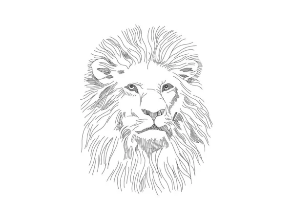 Потрясающий Карандашный Рисунок Головы Льва Абстрактное Лицо Льва — стоковый вектор
