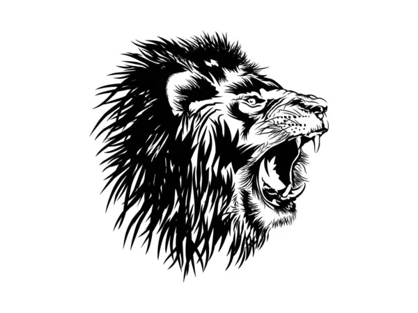 Tête Lion Rugit Dessin Main Illustrations Vectorielles Isolé Noir Blanc — Image vectorielle