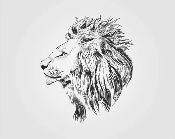 Art Vecteur Tête Lion Dessin Main Lion — Image vectorielle