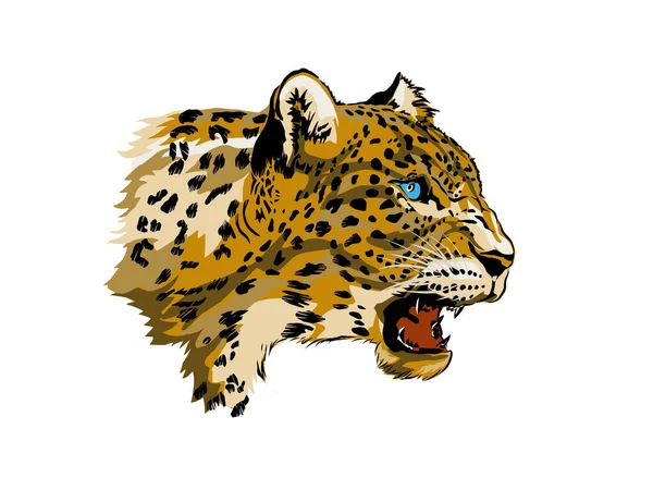 Leopardo Cabeça Vetor Rugindo Animal Selvagem Mão Desenho —  Vetores de Stock