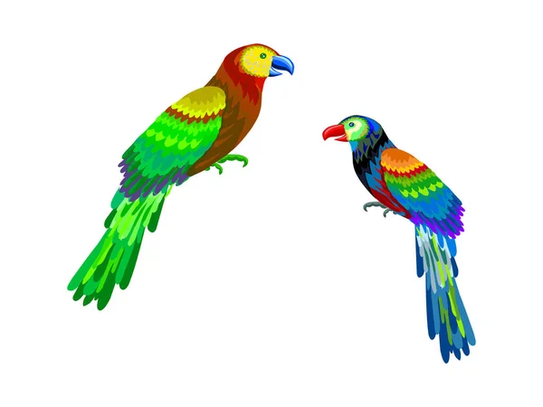 Papegoja Fåglar Hand Teckning Konst Vektor Bild — Stock vektor