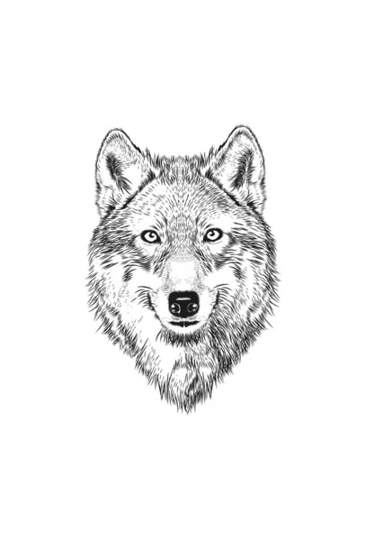 Tête Loup Vecteur Dessiné Main Loup Souriant Isolé — Image vectorielle