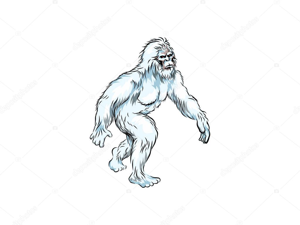 Walking sasquatch vector illustrator, yeti or big foot.