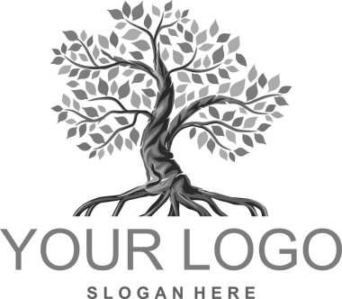Soyut mangrov ağacı logosu. Yaprakları, ahşabı ve kökleri beyaz arka planda olan yeşil kaynak ağacı