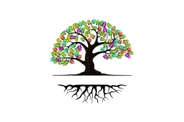 Regenbogen Baum Logo Design Vorlage Bunte Blätter Und Kreisförmige — Stockvektor