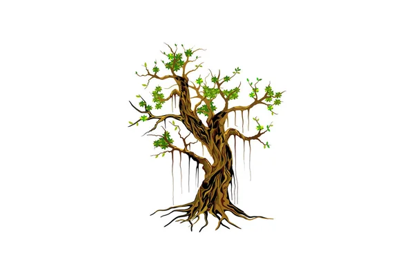 Banyan Δέντρο Που Αρχίζει Ανθίζει Μετά Την Τήξη — Διανυσματικό Αρχείο