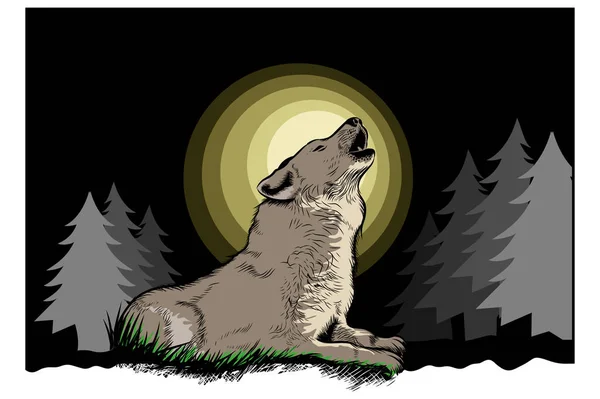 Loup Qui Rugit Sur Une Pleine Lune Illustrations Vectorielles Nuit — Image vectorielle