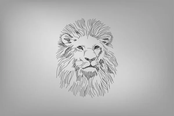 Aslan Kafasının Müthiş Kalem Çizimi Soyut Aslan Kral Yüzü — Stok Vektör