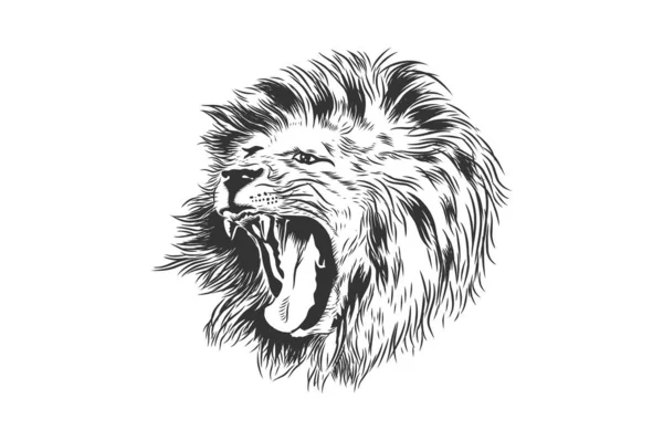 Tête Lion Illustration Vectorielle — Image vectorielle
