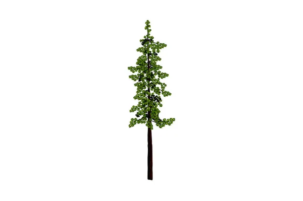 Ilustrasi Vektor Pohon Redwood Dengan Gaya Gambar Tangan - Stok Vektor