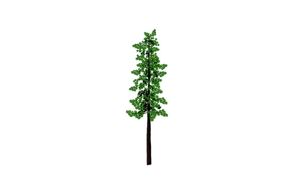 Redwood Tree Vector Illustrazione Con Disegno Mano Styleredwood Tree Vector — Vettoriale Stock