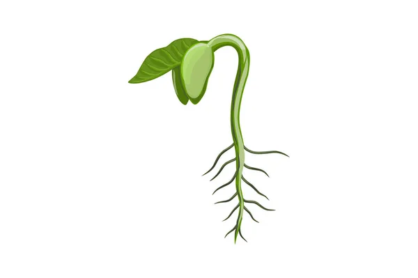Vektorillustration Grøn Plante Hvid Baggrund – Stock-vektor