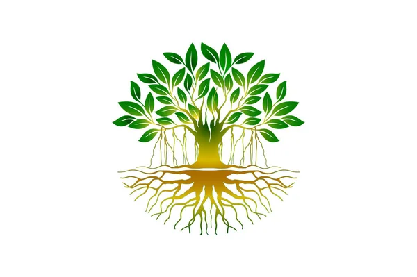Círculo Árvore Ilustração Vetorial — Vetor de Stock