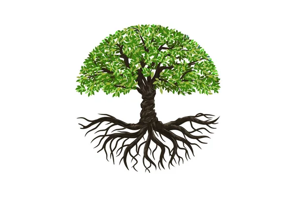 Baumkreis Logo Vorlage Baum Und Wurzeln Kreisform — Stockvektor