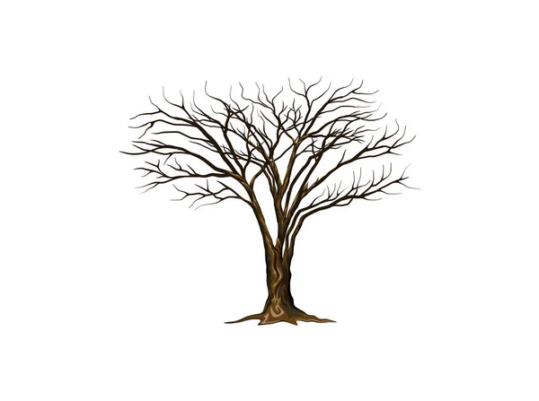 Bare Träd Vektor Torrt Träd Och Eld Trä Illustration — Stock vektor