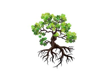 Eski mangrove ağaç vektör çizimleri