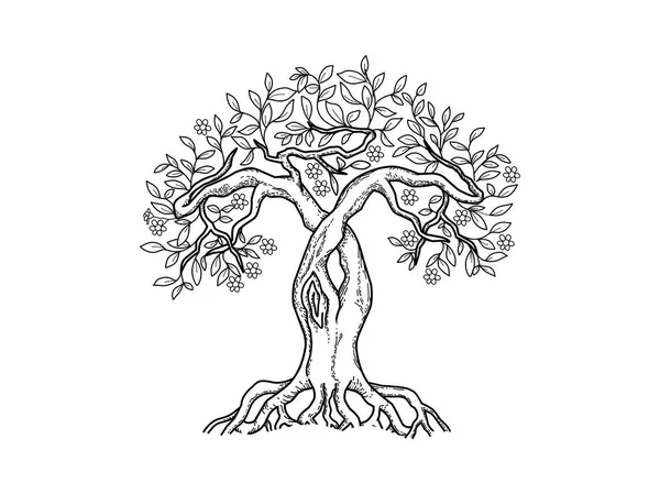 Ancient Tree Hand Drawing Tree Logo Design Line Art Style — Stock Vector