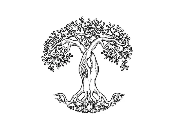 Antik ağaç eli çizimi. Çizgi sanatı tarzında ağaç logosu tasarımı. 