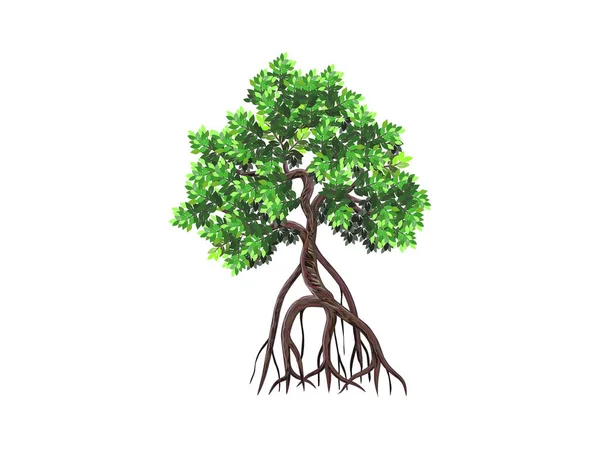 白いマングローブの木のベクトル図 — ストックベクタ