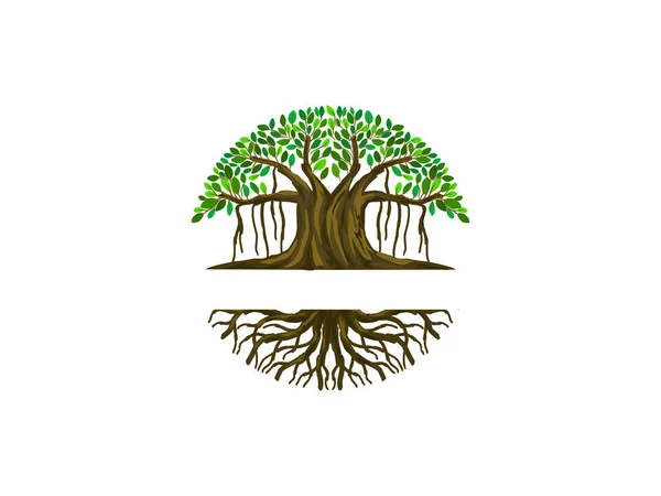 Banyan Baum Logo Mit Kreisförmiger Form — Stockvektor