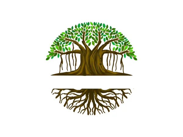 Logo Pohon Banyan Dengan Lingkaran Berbentuk - Stok Vektor