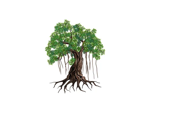 Banyan Árvore Vetor Ilustrações Arte Desenhada Mão Isolado Branco — Vetor de Stock