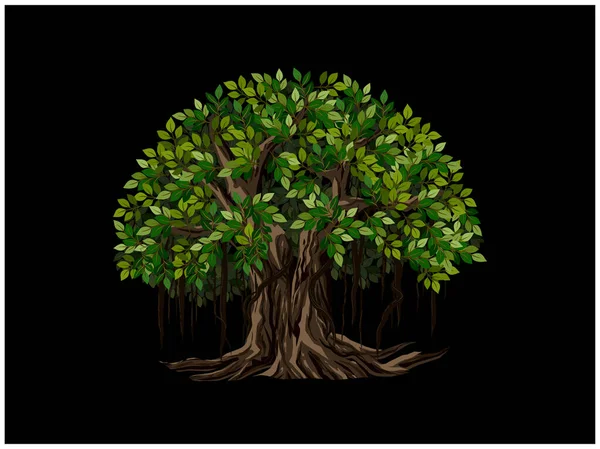 Antigas Ilustrações Vetoriais Árvore Banyan Arte Desenhada Mão Isolada Fundo — Vetor de Stock