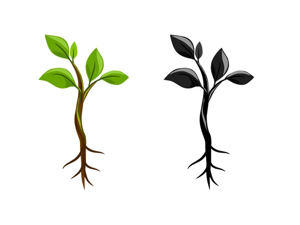 Planta Jardinagem Mudas Sementes Brotam Com Raízes Broto Planta Ícones — Vetor de Stock