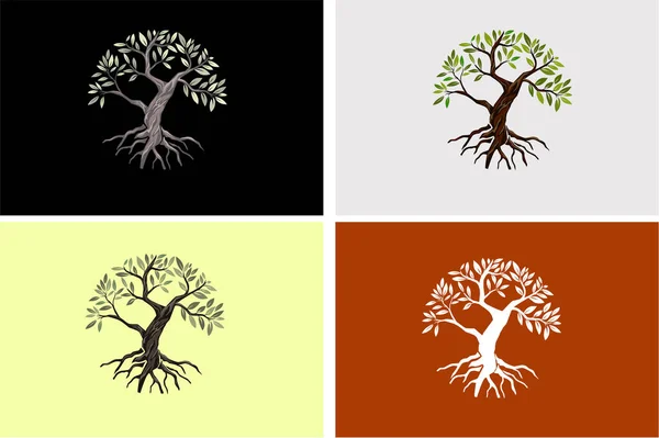 オリーブの木の手描きセットベクター画像 — ストックベクタ