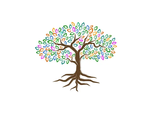 Σχεδιασμός Λογότυπου Δένδρου Και Ριζών Αφηρημένη Βελανιδιά Ουράνιο Τόξο Και — Διανυσματικό Αρχείο