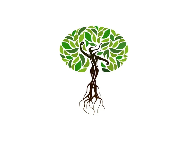 Mangrovenbaum Frauensilhouette Geformt — Stockvektor