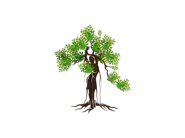 Kadın Ağaç Illüstrasyonu Dryad Mangrovları Ağacı — Stok Vektör