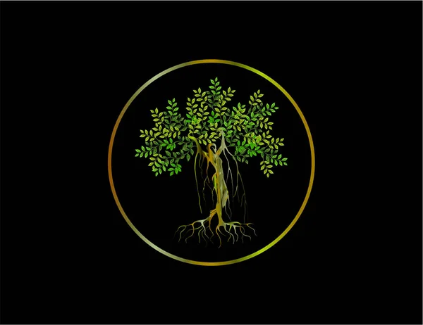 Logotipo Abstracto Del Árbol Humano Con Marcos Circulares — Vector de stock