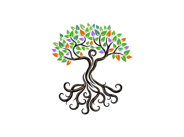 Soyut Dekoratif Ağaç Logosu Renkli Yapraklı Insan Ağacı Konsepti — Stok Vektör