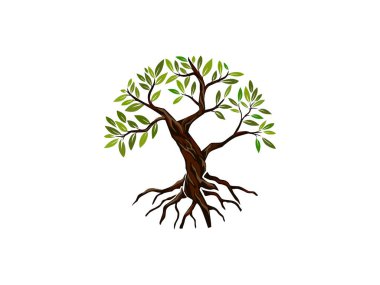 olive tree with circle shaped clipart