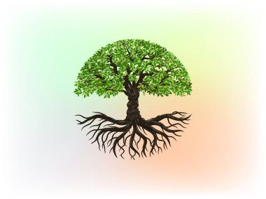 Ağaç Çemberi logo şablonu, ağaç ve çember şeklinde kökler