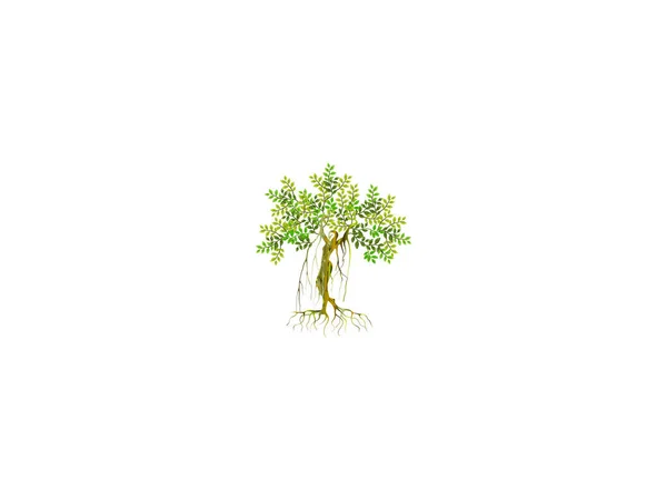 Grönt Träd Med Kvinna Logotyp Vektor Illustration — Stock vektor