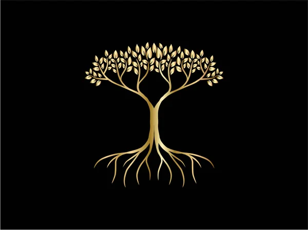 Aur Acacia Copac Logo Vector Fundal Negru Bun Pentru Logo — Vector de stoc
