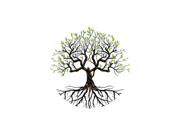 丸い形をした木と根のロゴテンプレート 開花オークの木 — ストックベクタ