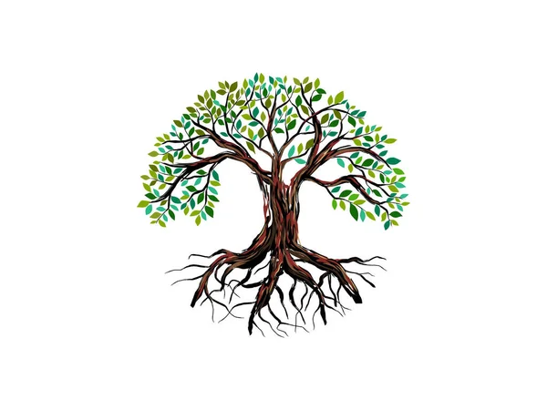 Strom Kořenovými Ilustracemi Vektor Izolovaný Bílé — Stockový vektor