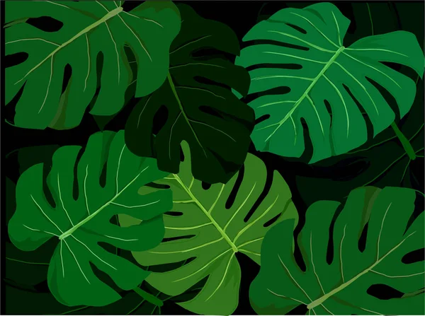 Bujne Liście Potwór Pozostawia Tło Rośliny Tropikalne — Wektor stockowy