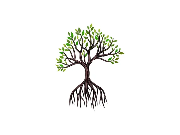 Mangrovenbaum Und Wurzelvektorillustration — Stockvektor