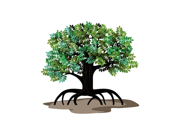 Мангровое Дерево Корневой Вектор Дерево Растущее Болоте Поддерживаемое Сильными Корнями — стоковый вектор