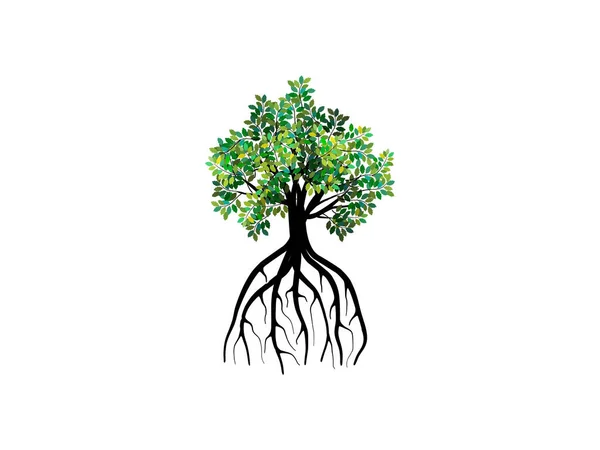 Mangrovenbaum Und Lange Wurzeln Vektor — Stockvektor
