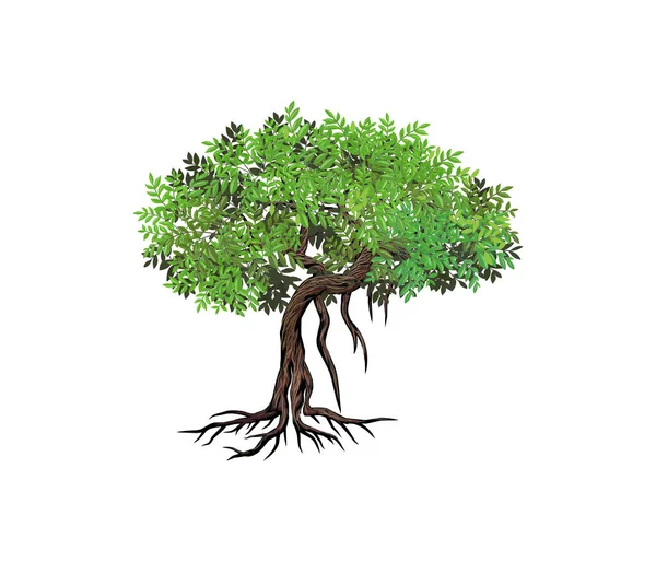 マングローブの木の手描きベクトルロゴ 木と根 — ストックベクタ