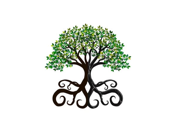 Mangrovník Kudrnatými Kořeny Ekologickými Logy Značkami — Stockový vektor