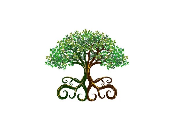 Mangrovník Kudrnatými Kořeny Ekologickými Logy Značkami — Stockový vektor